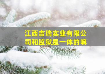 江西吉瑞实业有限公司和监狱是一体的嘛