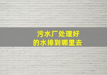 污水厂处理好的水排到哪里去