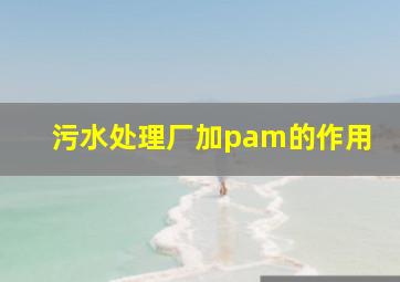 污水处理厂加pam的作用