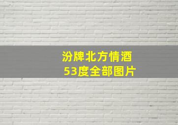 汾牌北方情酒53度全部图片