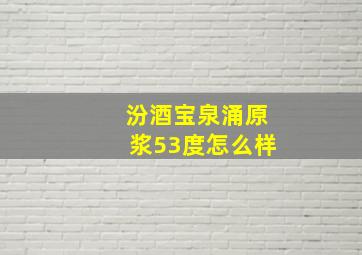 汾酒宝泉涌原浆53度怎么样