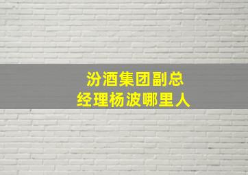 汾酒集团副总经理杨波哪里人