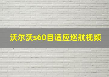 沃尔沃s60自适应巡航视频