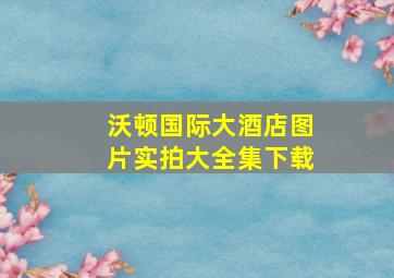 沃顿国际大酒店图片实拍大全集下载