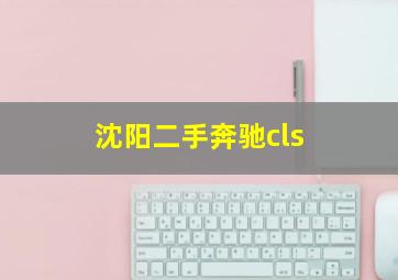 沈阳二手奔驰cls