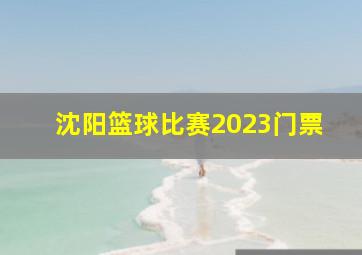 沈阳篮球比赛2023门票