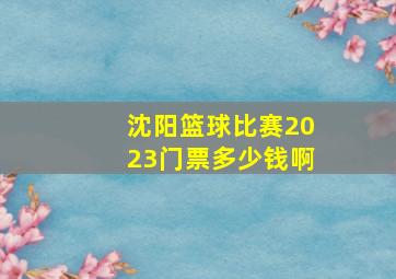 沈阳篮球比赛2023门票多少钱啊