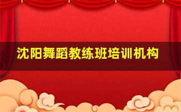 沈阳舞蹈教练班培训机构