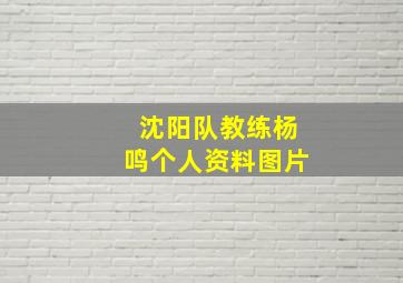 沈阳队教练杨鸣个人资料图片