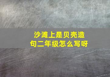 沙滩上是贝壳造句二年级怎么写呀