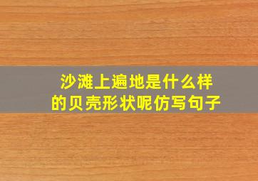 沙滩上遍地是什么样的贝壳形状呢仿写句子