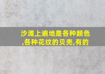 沙滩上遍地是各种颜色,各种花纹的贝壳,有的