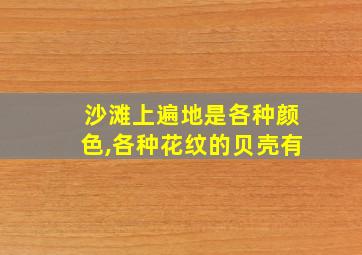 沙滩上遍地是各种颜色,各种花纹的贝壳有