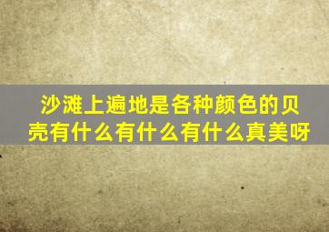 沙滩上遍地是各种颜色的贝壳有什么有什么有什么真美呀