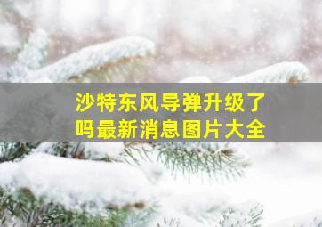 沙特东风导弹升级了吗最新消息图片大全