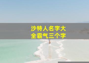 沙特人名字大全霸气三个字