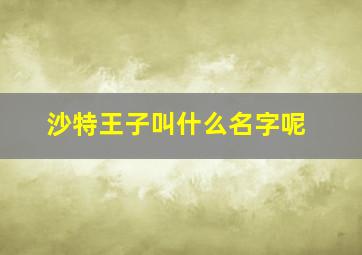 沙特王子叫什么名字呢