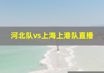 河北队vs上海上港队直播