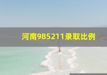 河南985211录取比例