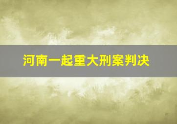 河南一起重大刑案判决