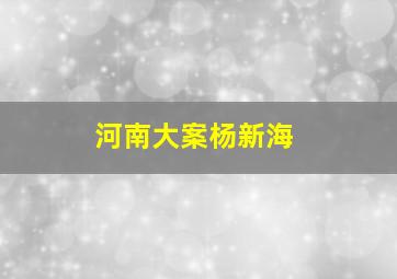 河南大案杨新海