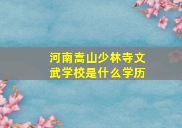 河南嵩山少林寺文武学校是什么学历