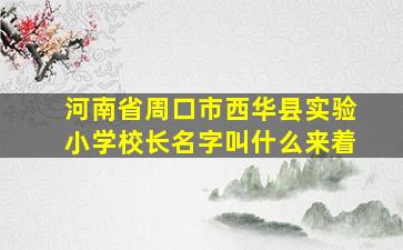 河南省周口市西华县实验小学校长名字叫什么来着