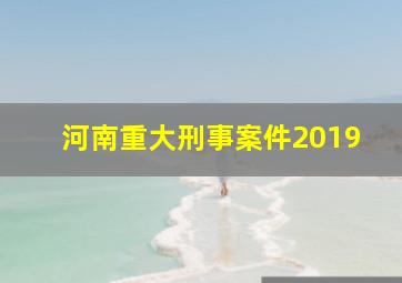 河南重大刑事案件2019