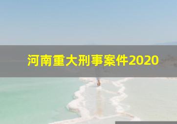 河南重大刑事案件2020