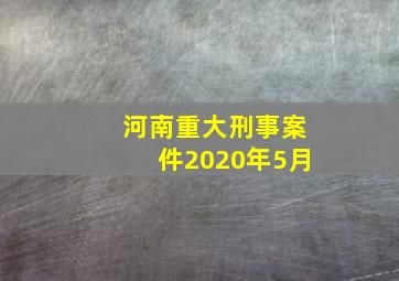 河南重大刑事案件2020年5月