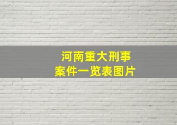 河南重大刑事案件一览表图片