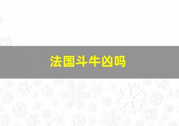 法国斗牛凶吗