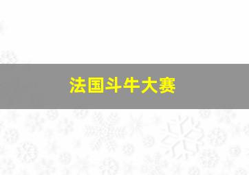 法国斗牛大赛