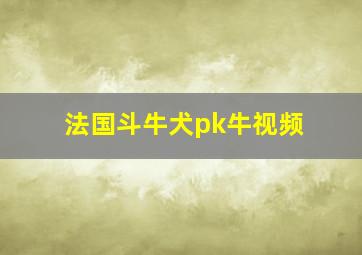 法国斗牛犬pk牛视频