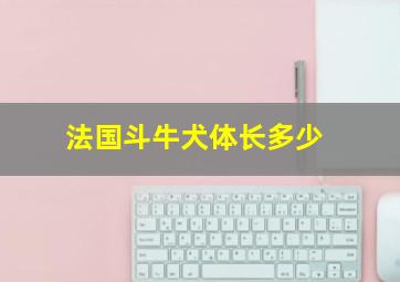 法国斗牛犬体长多少