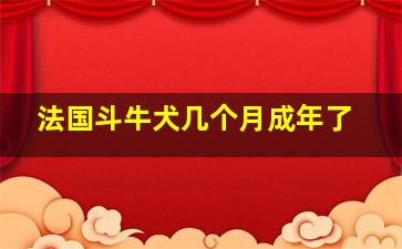 法国斗牛犬几个月成年了