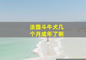 法国斗牛犬几个月成年了啊