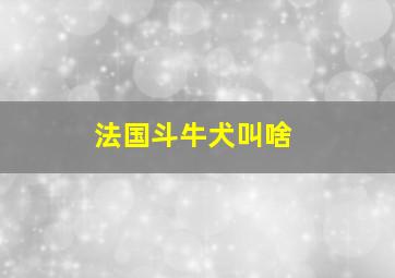 法国斗牛犬叫啥