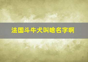 法国斗牛犬叫啥名字啊