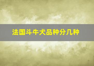 法国斗牛犬品种分几种