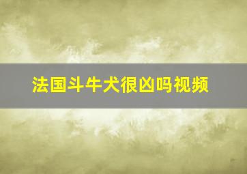 法国斗牛犬很凶吗视频