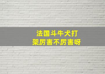 法国斗牛犬打架厉害不厉害呀