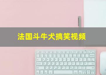 法国斗牛犬搞笑视频