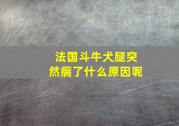 法国斗牛犬腿突然瘸了什么原因呢