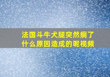 法国斗牛犬腿突然瘸了什么原因造成的呢视频