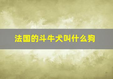 法国的斗牛犬叫什么狗