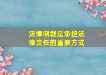 法律制裁是承担法律责任的重要方式