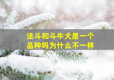 法斗和斗牛犬是一个品种吗为什么不一样