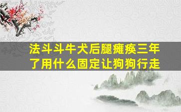 法斗斗牛犬后腿瘫痪三年了用什么固定让狗狗行走