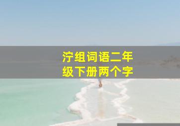 泞组词语二年级下册两个字